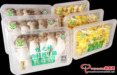 广东:桂之神食用菌产品喜获广东省名牌产品称号